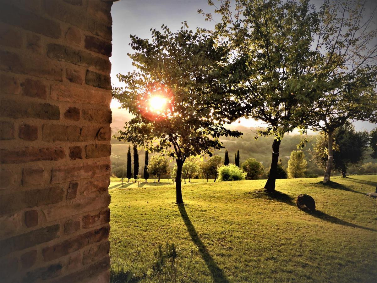 Quelli Del Picchio Bed & Breakfast Cupramontana Exterior photo