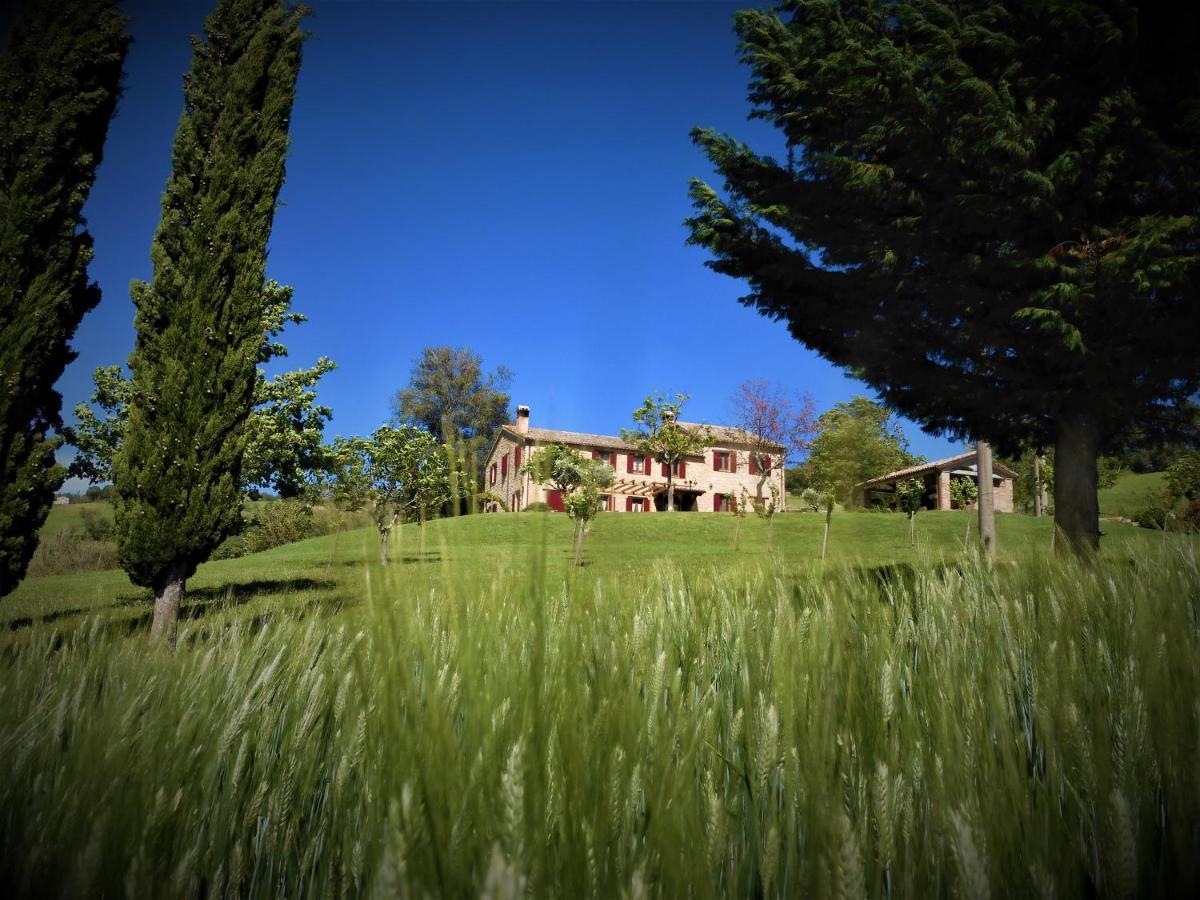 Quelli Del Picchio Bed & Breakfast Cupramontana Exterior photo