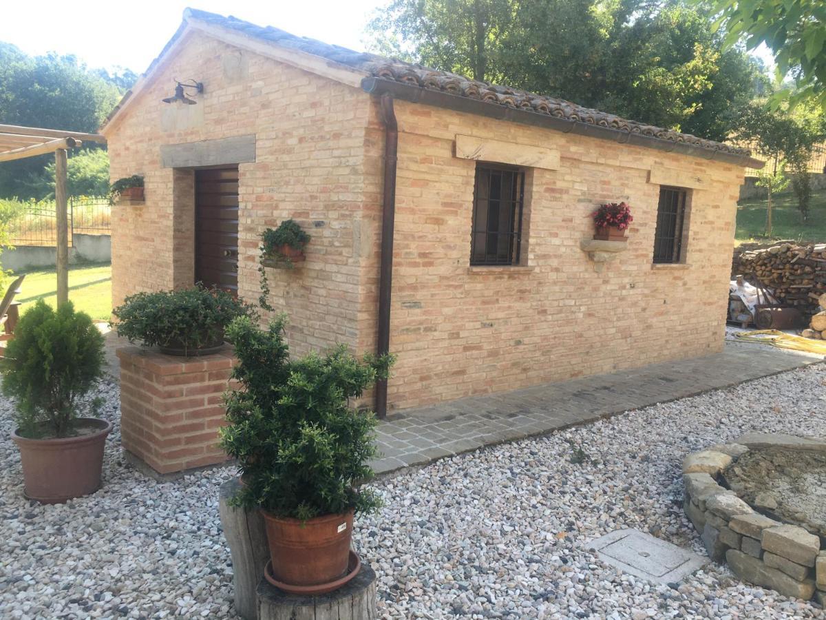 Quelli Del Picchio Bed & Breakfast Cupramontana Exterior photo